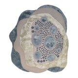 Pequra Designer Abstract Hand-Tufted Rug in Earthy Tones – Modern Organic Shape